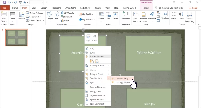 Add flashcard answers to the slide Add flashcard answers to the slide